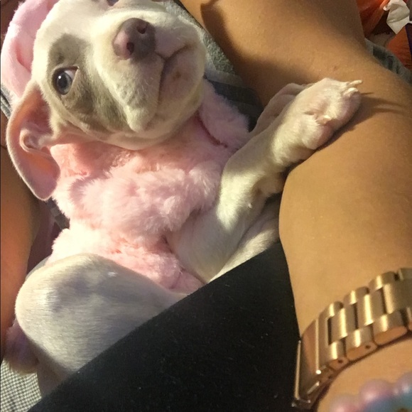 Meet your Posher, Tara - Picture 1 of 3